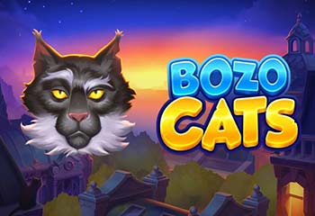 Bozo Cats